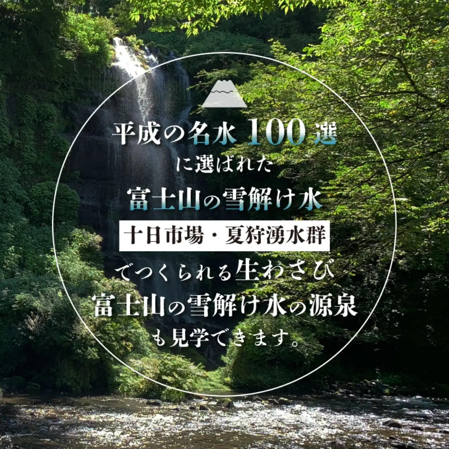 わさび収穫体験（わさびお土産付き）　山梨 都留市 わさび 山葵 ワサビ 体験 体験チケット 収穫 収穫体験 湧水