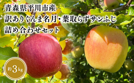 ≪2026年12月上旬頃より発送≫青森県産 訳あり ぐんま名月・葉とらずサンふじ 詰め合わせセット 約3kg【青森県 平川市 なるみ農園】家庭用 訳アリ 青森 青森県産 平川 りんご リンゴ 林檎 くだもの 果物 フルーツ