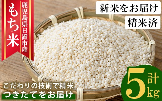 
                  No.1373-B 鹿児島県産もち米 (5kg) 新米 国産 九州産 鹿児島 精米 小分け もちごめ おもち もち 餅 モチ 【新川園芸】
                