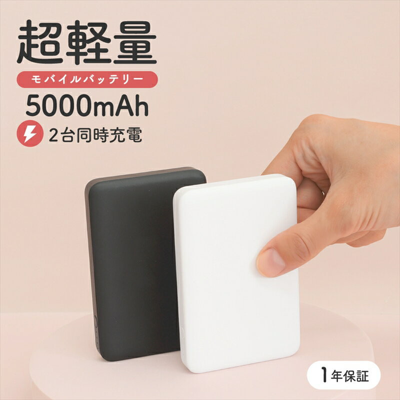 【ふるさと納税】Owltech(オウルテック) 5000mAh 最大12W入出力対応 USB Type-C入出力／USB Type-A出力 モバイルバッテリー OWL-LPB5028【 神奈川県 海老名市 】