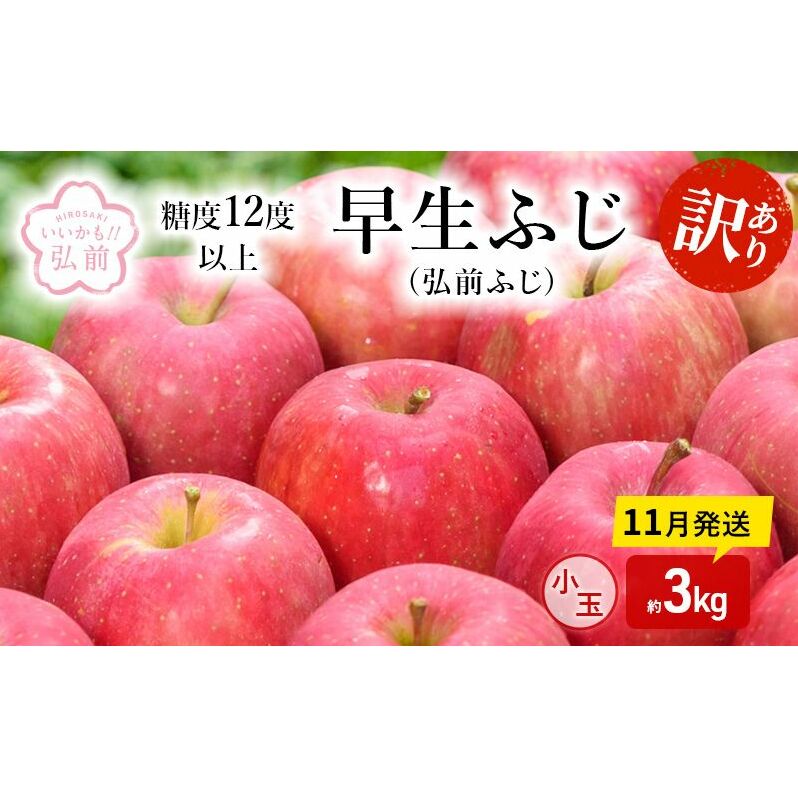 りんご 【 11月発送 】( 糖度12度以上 ) 訳あり 早生ふじ ( 弘前ふじ ) 小玉りんご 約 3kg 【 弘前市産 青森りんご 】