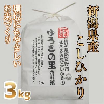 ふるさと納税 阿賀野市 【令和8年産新米先行受付】阿賀野市 ささかみ産 こしひかり 「ゆうきの里のお米」 3kg