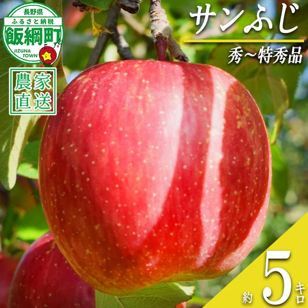 りんご サンふじ 秀 ～ 特秀 5kg 丸山りんご園 沖縄県への配送不可 2026年12月上旬頃から2027年1月上旬頃まで順次発送予定 令和8年度収穫分 信州 果物 フルーツ リンゴ 林檎 長野 予約 農家直送 長野県 飯綱町 [0264]