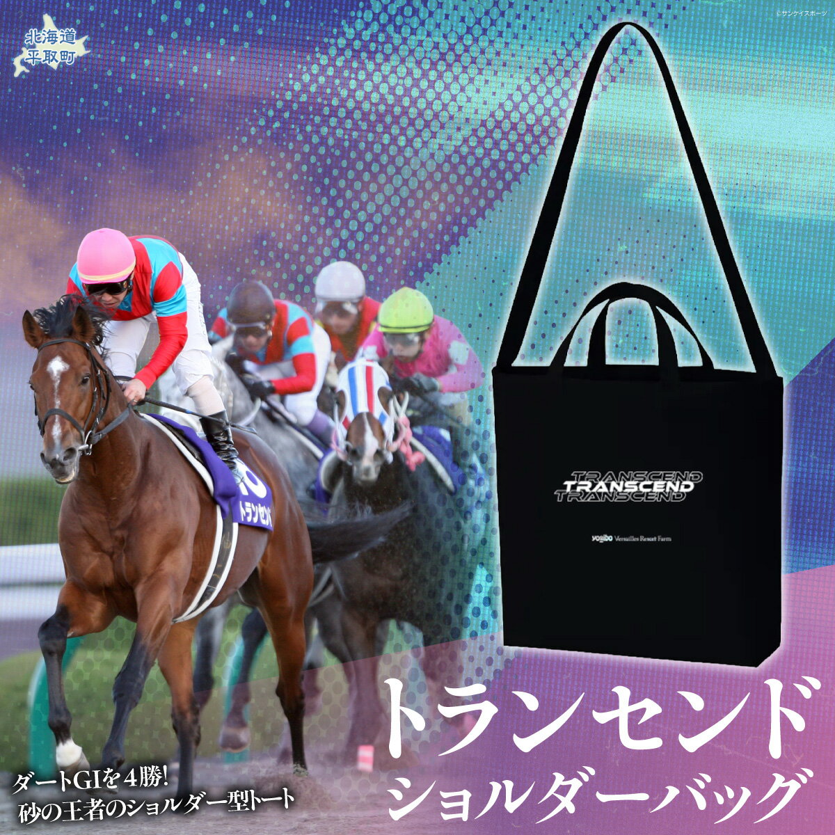 【ふるさと納税】【トランセンド】ショルダーバッグ 【ふるさと納税 人気 おすすめ ランキング 馬 競馬 競走馬 引退馬 トランセンド バッグ ショルダー ショルダーバッグ 生活 日用品 日高 北海道 平取町 送料無料】 BRTV152