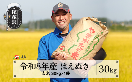 新米 令和8年産 玄米 はえぬき 30kg 11月下旬発送 ja-hagxb30-11s