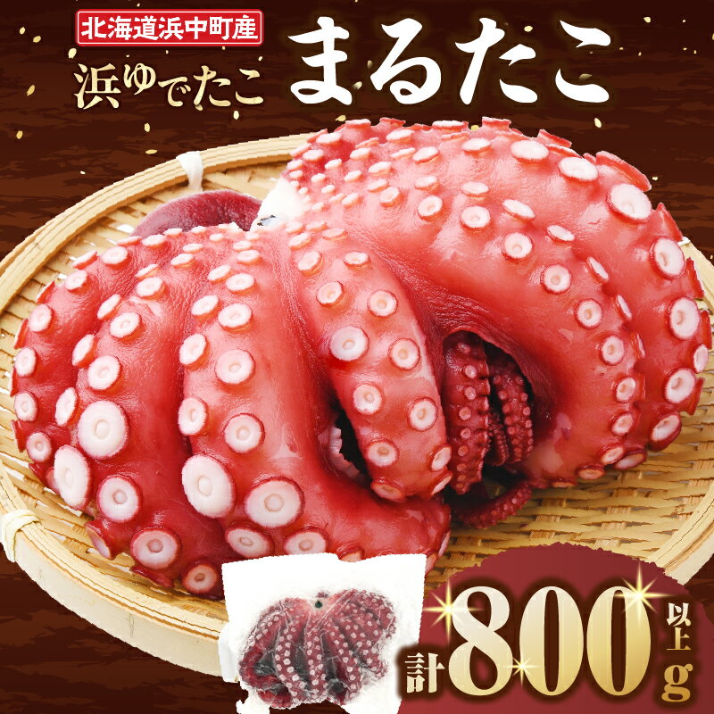 【ふるさと納税】【令和8年2月発送分】浜ゆでたこ「まる たこ」800g以上×1袋 北海道 浜中町産 期間限定 新物 たこ タコ げそ 下足 刺身 唐揚げ おでん おかず ご飯のお供 おつまみ 真空パック 国産 海鮮 海の幸 海産物 新鮮 人気 おすすめ 贈り物 ギフト 送料無料