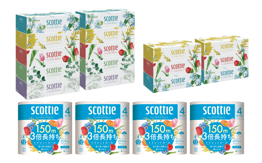 【定期便6回】【毎月お届け】【スコッティ】 ティシュー フラワーボックス 250組（5箱パック×2セット・3箱パック×2セット）＋フラワーパック 3倍長持ち（4ロール(シングル)パックx4セット）ティッシュ トイレットペーパー 日用品 ストック