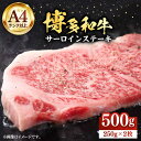 【ふるさと納税】博多和牛サーロインステーキセット 500g（250g×2枚）【株式会社Meat Plus】《豊前市》肉 ステーキ サーロイン [VBB011] 21000 21000円