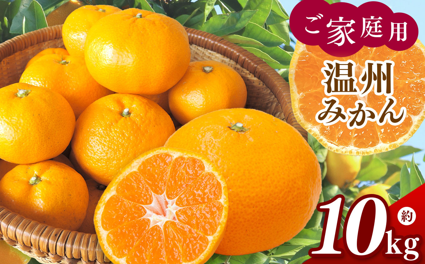 
            訳あり ご家庭用 温州みかん 約10kg ( 約5kg × 2箱 ) 村上農園 | フルーツ 果物 くだもの 柑橘 柑橘類 ミカン みかん 温州ミカン オレンジ 熊本県 玉名市
          