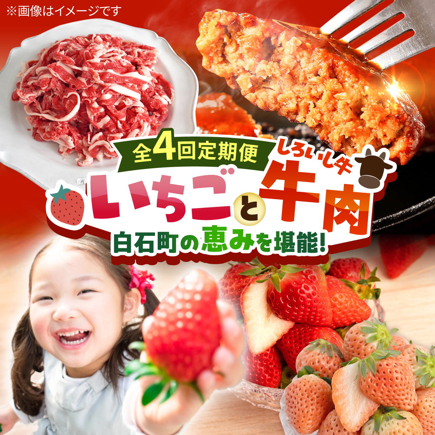 【先行予約 2027年1月～発送】【4回定期便】産地直送！白石町産 いちごと牛肉の定期便  佐賀県 白石 [IZZ019]
