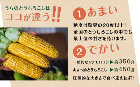 あまっ娘 とうもろこし（10本-12本　4.0kg以上） とうもろこし