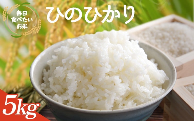 
                  【数量限定】和歌山県産 ひのひかり 5kg(2025年産) / 白米 コメ 産地直送 米 こめ ご飯 ごはん ひのひかり おにぎり お弁当 【agy040】
                