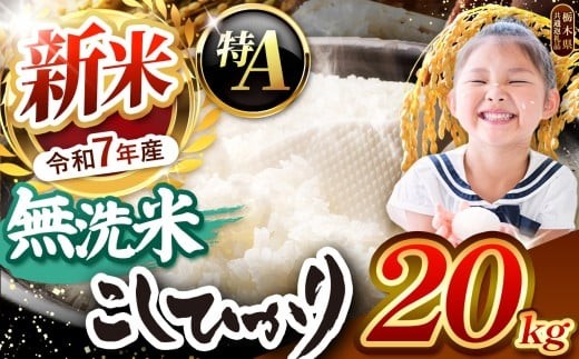 栃木県産コシヒカリ 無洗米 20kg 【栃木県共通返礼品】 | お米 米 こめ 洗米 新米 無洗米 コシヒカリ こしひかり 美味しい お弁当 選べる ふるさと 納税 栃木県 矢板市