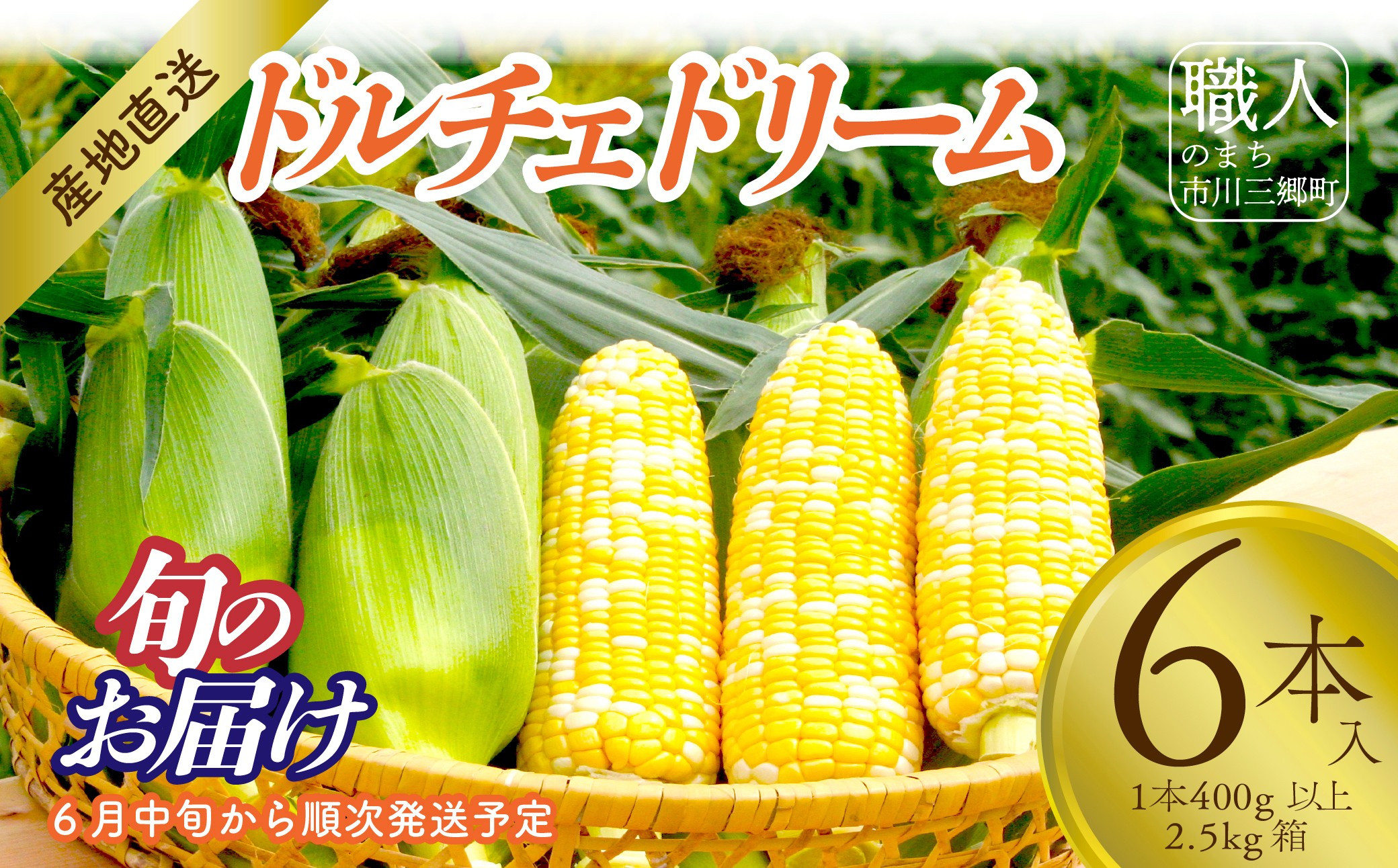 
            【2025年6月中旬から発送】とうもろこし「ドルチェドリーム」6本入り 1本400g以上 2.5㎏箱 ㈱アグリ甲斐（山梨県市川三郷町産） [5839-2214]
          