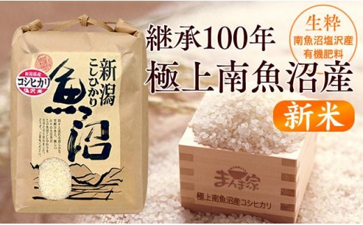 
                  【新米】【令和8年産】【定期便】極上南魚沼産コシヒカリ（有機肥料、塩沢産）精米10ｋｇ×全6回【定期便 銘柄米 ブランド米 精米 こしひかり コシヒカリ 魚沼産 新潟米 産地直送 お米 米 こめ コメ ご飯 御飯 ごはん】
                