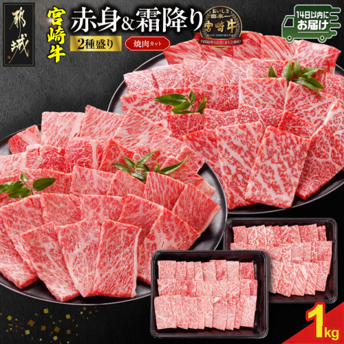 宮崎牛焼肉2種セット500g×2パック≪みやこんじょ快速便≫_19-N2-002-1000-R