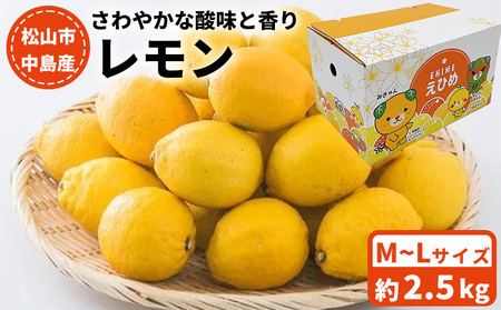 【11月上旬から発送】 中島産 レモン M～Lサイズ 2.5Kg ｜レモン レモン レモン レモン レモン【FA0751】