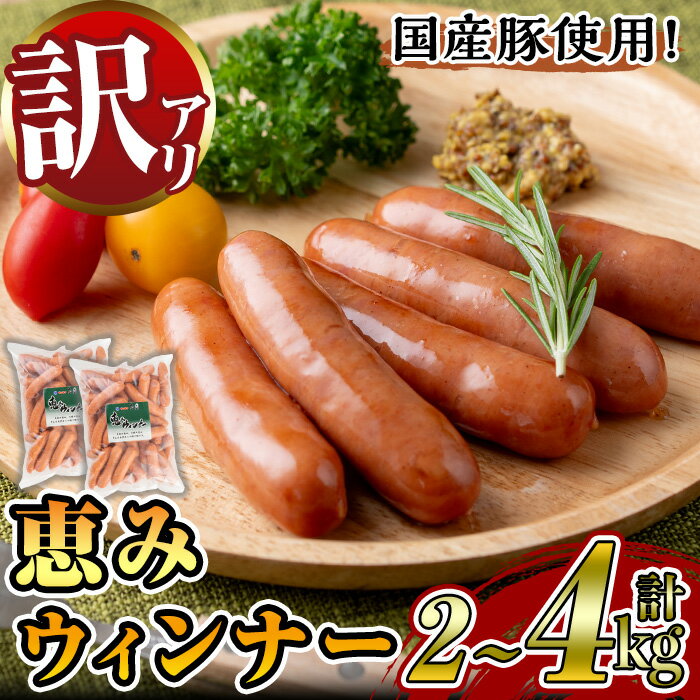 【ふるさと納税】＜容量選べる＞《業務用・訳あり》恵みウィンナー(計2～4kg・1kg×2～4P) 国産 豚肉 ウインナー ソーセージ フランクフルト 惣菜 おかず 晩御飯 おつまみ 弁当 BBQ キャンプ 冷凍 訳あり 訳アリ 簡易包装 【ナンチク】