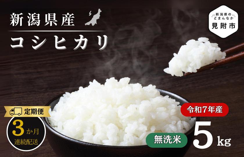 【3か月定期便】R7年産 新潟県産 コシヒカリ 5kg （無洗米）新米 お米 白米 コシヒカリ こしひかり おすすめ 人気 こめ コメ 新潟 見附 見附市 7年 2025年産 ふるさと納税 諸長