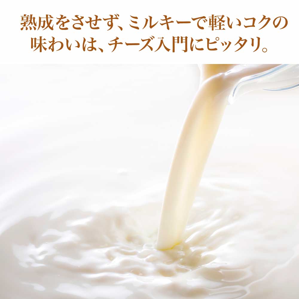 蔵王チーズ　蔵王ミルクキューブ　90g×3個／90×6個セット　【04301-0816・0817】_イメージ3