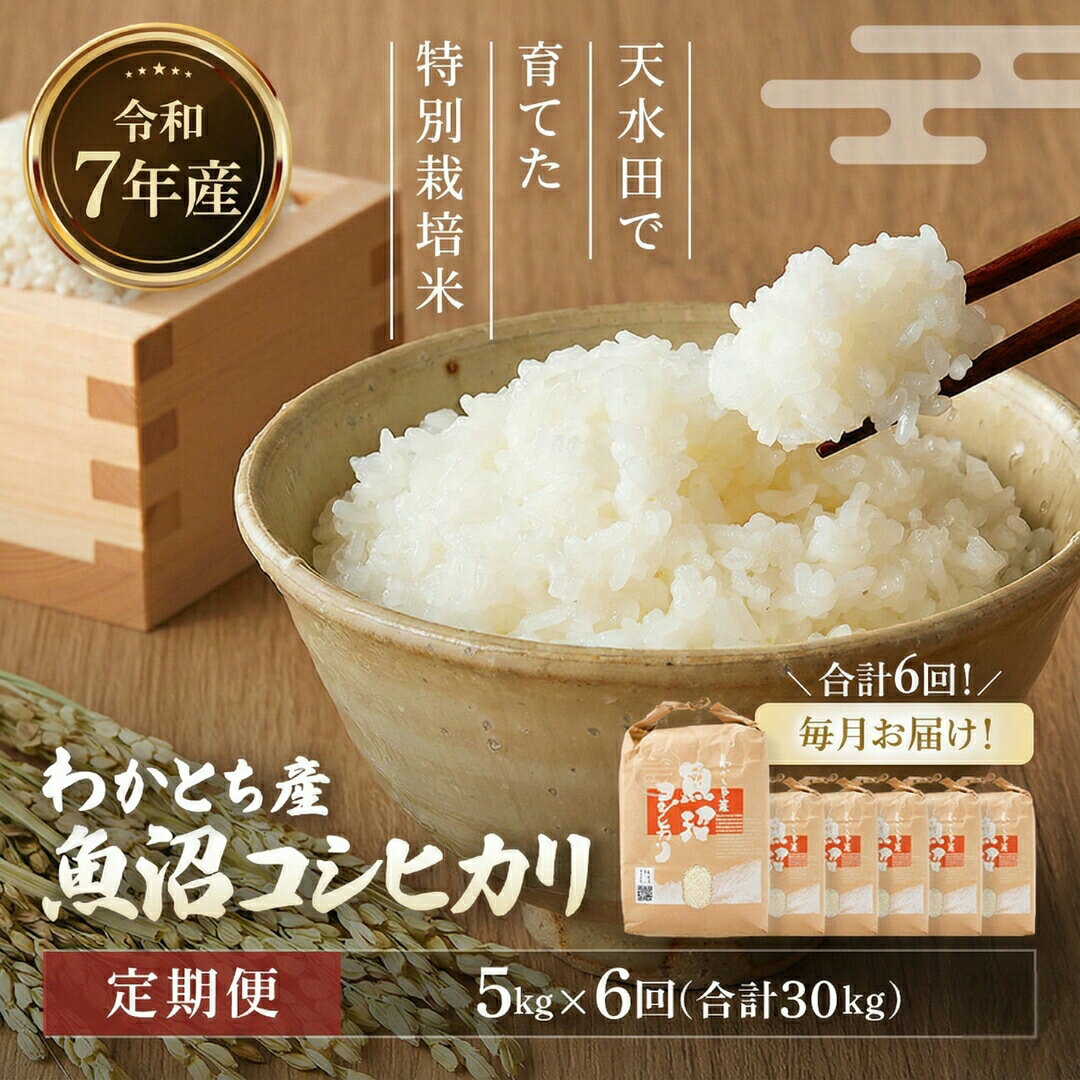 【ふるさと納税】【令和7年産 定期便】米 コシヒカリ 白米 わかとち産 魚沼産コシヒカリ 特別栽培 棚田米 5kg×6回(毎月お届け) 精米 新潟県産 こしひかり Mt.ファームわかとち| お米 魚沼 新潟県産 【0013-0005DB00-01】