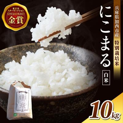 ふるさと納税 加西市 令和7年産 特別栽培米 にこまる 白米10kg [No5698-1309]