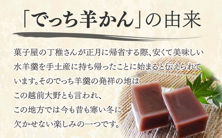 【先行予約】福井県大野市 冬の名物 でっち羊かん（手作り菓子 陽明堂 水ようかん）小サイズ（正味560g）×1箱【2026年11月より順次発送】