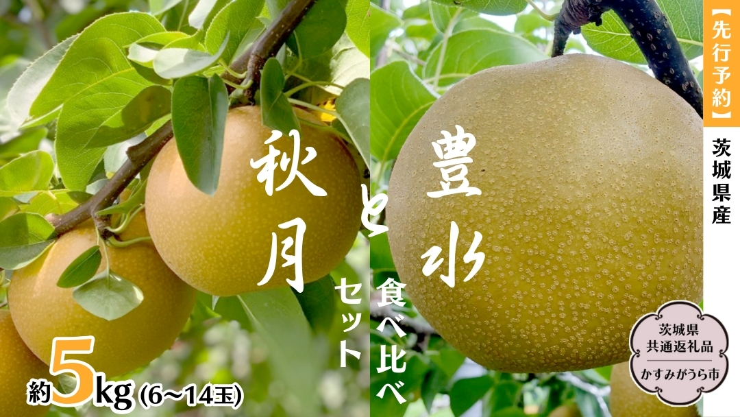 【 先行予約 】 茨城県産 梨 豊水 と 秋月 の 食べ比べ セット 約5kg 6玉～14玉 ( 茨城県共通返礼品 かすみがうら市 )  (2025年9月上旬発送開始) 産地直送 久保田果樹園 フルーツ 甘い 直送 茨城 限定 ギフト 梨 秋月 あきづき 豊水 ほうすい 果物 [DH005sa]