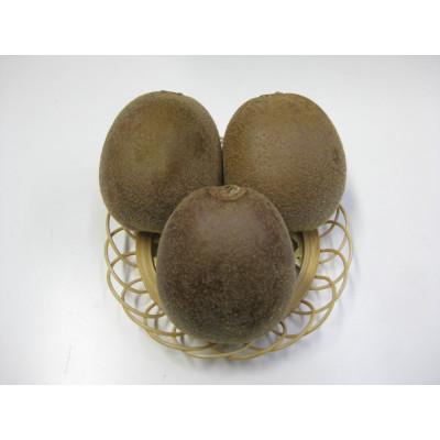 ふるさと納税 小豆島町 【先行受付2026年】【数量限定】大玉さぬきエンジェルスイートキウイ　約700g以上