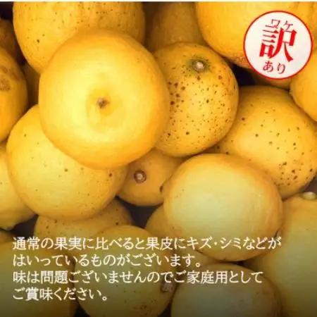 【ノーワックス】訳あり・ご家庭用 国産レモン 5kg (サイズおまかせ)【2027年2月以降発送】【1752410】