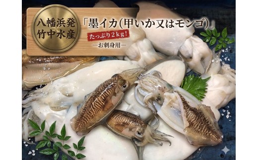 F22-284.八幡浜発!竹中水産の「墨イカ(甲いか又はモンゴ)」2kg!お刺身用【冷蔵便】 YWTM102