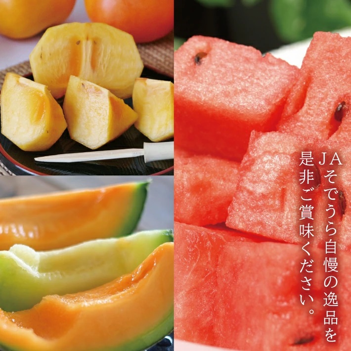 SE0357　【3回定期便】自然の恵み　夏・秋フルーツ定期便2025 (小玉スイカ、彩りメロン［青肉・赤肉］、柿)