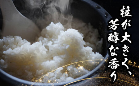 ＼2025年10月発送分／ あいちのかおり 白米 5kg 愛西市 / 脇野コンバイン 新米 お米 精米 [AECP001-1]