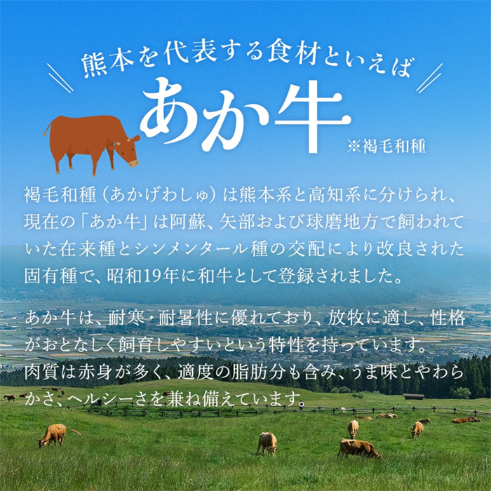 【桜屋】GI 地理的表示 認定ブランド牛 国産 熊本県産 くまもとあか牛 褐毛和種 あかげわしゅ ブランド牛 熊本県認定 和牛 あか牛 すき焼き しゃぶしゃぶ 鍋 500g 希少 阿蘇 小国町 小国郷