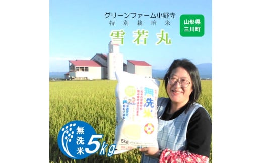【令和7年産】《無洗米》グリーンファーム小野寺の雪若丸5kg　※10月中旬頃から順次配送予定