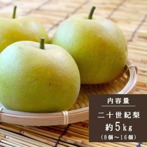 奈良の二十世紀梨（約5kg）※着日時はご指定いただけません | フルーツ くだもの 果物 なし ナシ 梨 奈良県 五條市 二十世紀 20世紀