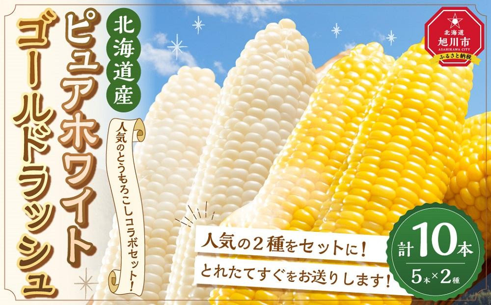 
            【先行予約】とうもろこしコラボセット!　ピュアホワイト5本×ゴールドラッシュ5本（2025年8月下旬より発送予定）【 白いとうもろこし 人気 北海道産 糖度 生 野菜 スイートコーン 産地直送 バーベキュー BBQ コーン 旬 お取り寄せ 旭川市 北海道 】_03648
          