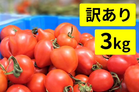 【先行予約】【訳あり】めぐみでぃトマト 3kg 若狭の恵 越のルビー 不揃い 産地直送【2024年11月18日以降順次発送】