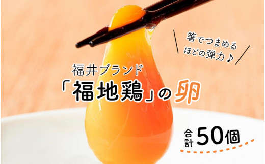 
濃厚で甘くておいしい！ 福井ブランド「福地鶏」の卵 50個（25個入×2段）
