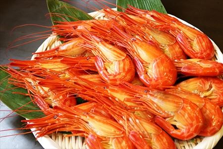 【北海道根室産】北海しまえび600g(約35～39尾) A-32019