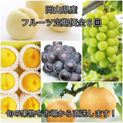 
                  ＜発送月固定定期便＞岡山県産  フルーツ定期便全6回_フルーツ 定期便 旬 果物 食べ比べ 岡山県 津山市 デザート 葡萄 ぶどう 桃 もも 梨 愛宕梨 シャインマスカット 送料無料 贈答 ギフト【4078587】
                