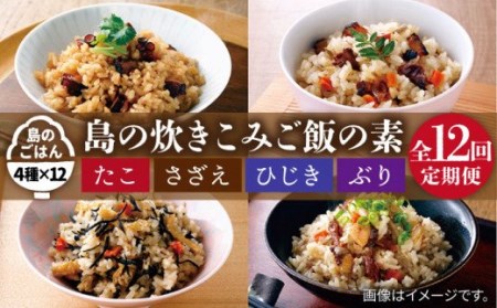 【全12回定期便】島の炊き込みご飯の素[JAH070] 炊き込みご飯 たき込みご飯 たこ さざえ ひじき ブリ セット 詰め合わせ 132000 132000円