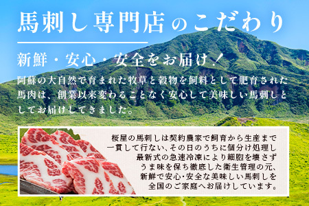 熊本県 桜屋 馬刺し スライスセット6種 計600ｇ【 特上トロ・トロ・霜降り・特選赤身・特上赤身・上赤身　各100ｇ 熊本県 多良木町 ふるさと納税 馬刺し 肉 ヘルシー 赤身 本場 】 050-0