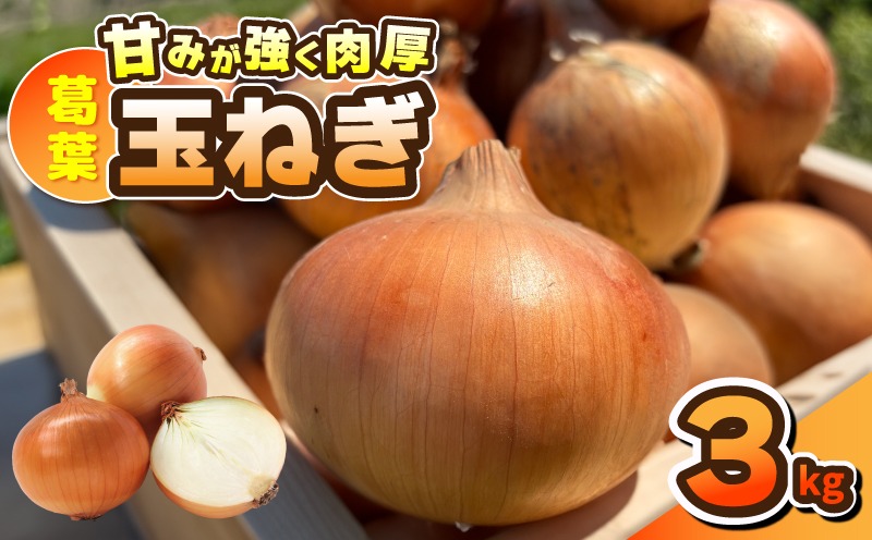 010B1965 葛葉玉ねぎ 3kg【10玉程度 泉佐野市 泉州たまねぎ 肉厚 甘い】