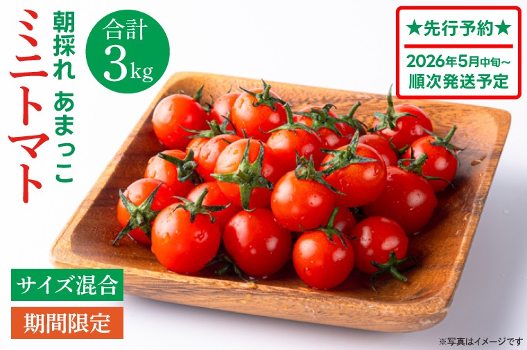 
                  【先行予約★2026年6月～順次発送！】【人気商品】朝採れ あまっこ ミニトマト ３kg 【やさい 野菜 トマト 甘い プチトマト 新鮮 フレッシュ 産地 直送 10000円以下 茨城県 鹿嶋市 】（KAM-31）
                