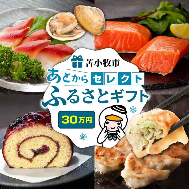 あとから セレクト 【 ふるさと ギフト 】 30万円 T000-000-13 肉 お肉 肉加工品 牛 豚 鶏 魚 お魚 魚介類 水産加工品 日用品 雑貨 惣菜 総菜 野菜 工芸品 伝統工芸品 菓子 お菓子 果物 あとから選べる 選べる 北海道 ふるさと納税 苫小牧市 おすすめ ランキング プレゼント 