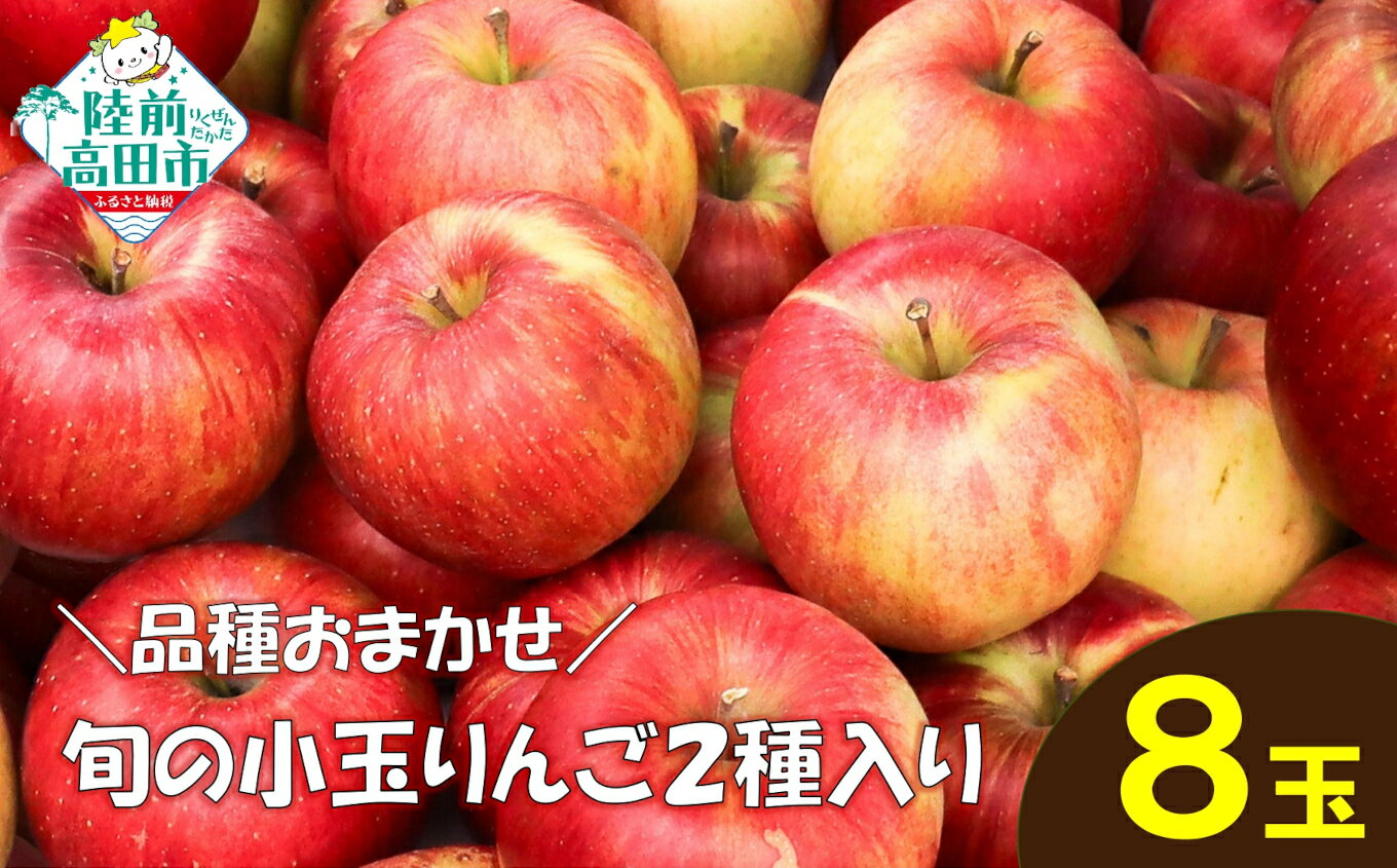 【ふるさと納税】★品種おまかせ★ 旬の小玉りんご 2種 8個入り 家庭用 [ 旬 りんご リンゴ 林檎 米崎りんご 果物 フルーツ 旬 期間限定 数量限定 訳あり ワケあり わけあり 不揃い 規格外 傷 送料無料 人気 おすすめ お取り寄せ 産地直送 国産 ]