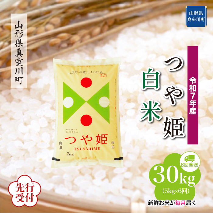 ＜令和7年産米先行受付＞ 真室川町産 特別栽培米 つや姫 【白米】30kg定期便 (5kg×6回)　配送時期指定できます！