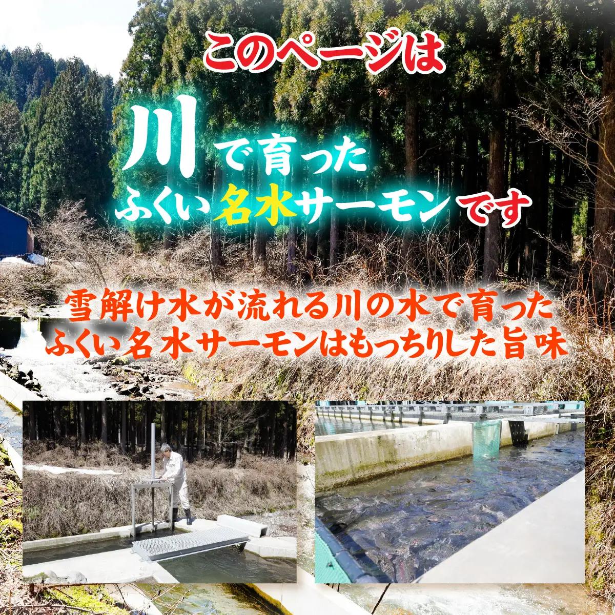 ふくい名水サーモン（小分けパック）約600ｇ[A-065058]