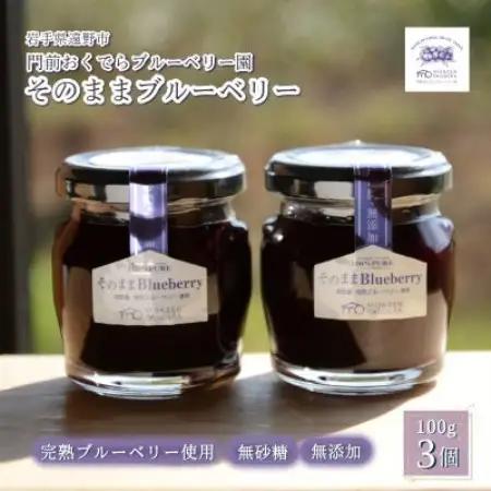 濃縮ジャムタイプ「そのままブルーベリー」100g×3本　門前おくでらブルーベリー園【1738483】